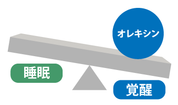 睡眠薬を飲むと認知症になる？！のイメージイラスト