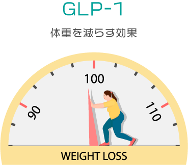 GLP-1
体重を減らす効果のイメージイラスト